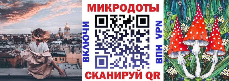 Галлюциногенные грибы Psilocybine cubensis Чёрмоз